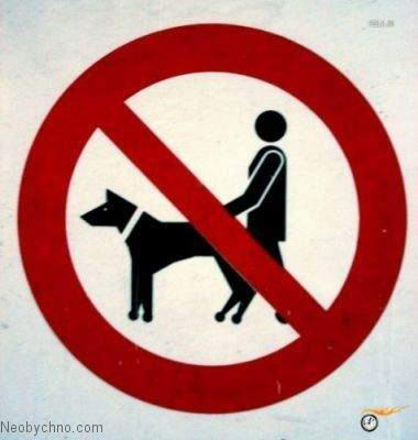 С собаками не гулять.