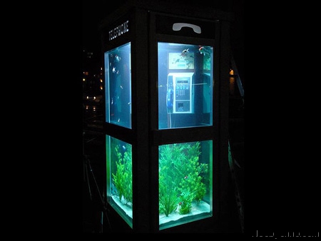 аквариум из старой телефонной будки