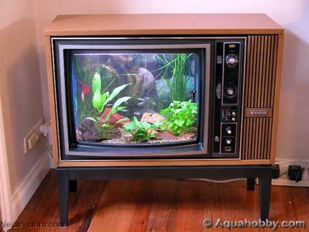 Как сделать аквариум из старого телевизора?