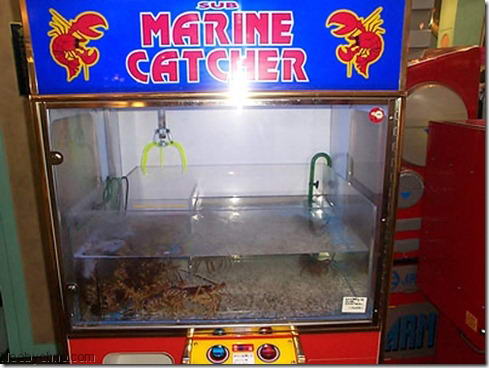 Автомат со свежими омарами