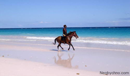 02-pink-sands-bahamas4