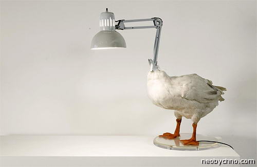 Лампа из утки
