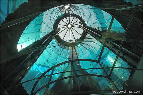 Аквадом, гигантский аквариум с лифтом
