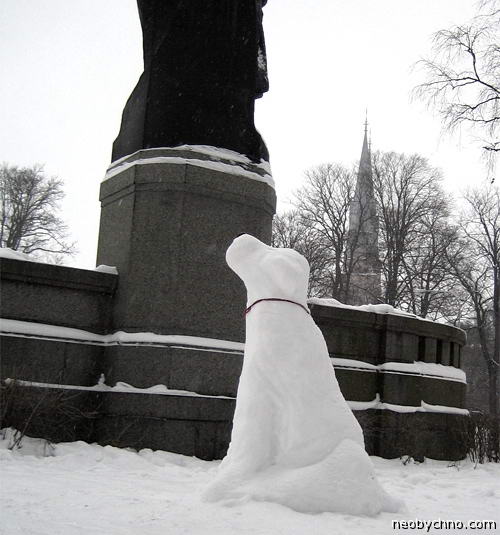 Снежная собака в Швеции