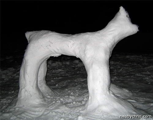 Снежный пес гавкает
