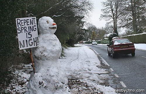 Снеговик протестует