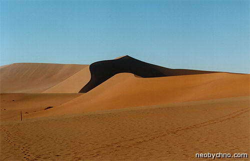 Пустыня Намиб красиво необычно