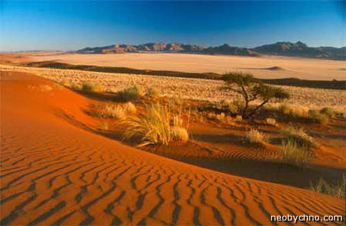 Пустыня Намиб красивые фото