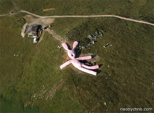 Розовый заяц гигант Италия фото