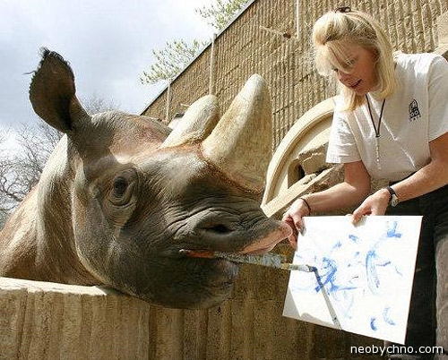 Носорога научили рисовать