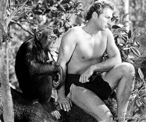 Самый старый шимпанзе, кинозвезда