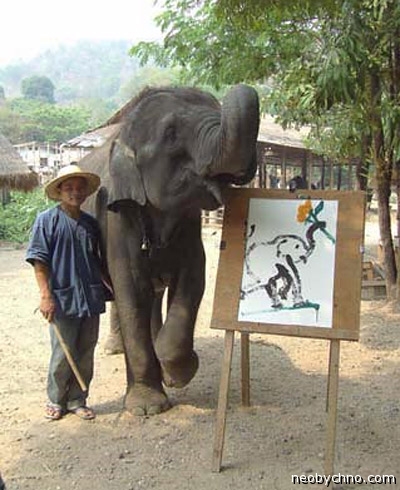 Слониха рисует портреты