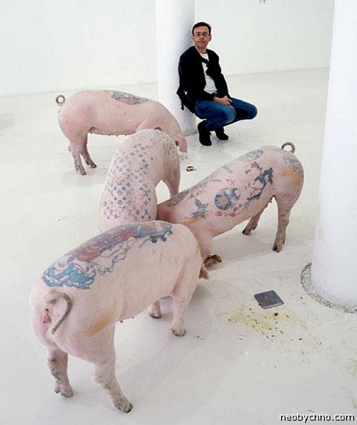 Мастер по татуировке свиней