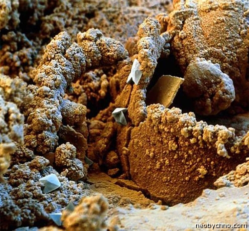 Ржавчина под микроскопом фото