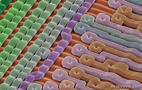 Микросхема необычное фото