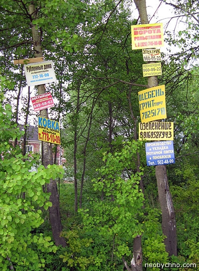 Реклама на деревьях