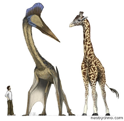http://neobychno.com/img/2012/02/01-pterosaur.jpg