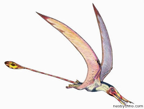 http://neobychno.com/img/2012/02/05-pterosaur.jpg