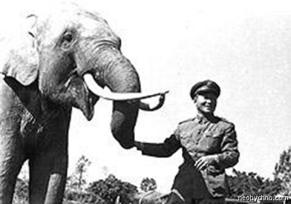 Великий боевой слон