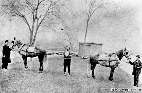 Луи Кир тренируется на лошадях