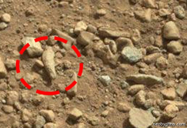 Палец на Марсе