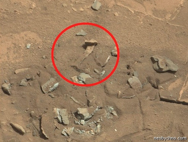 Бедренная кость на Марсе