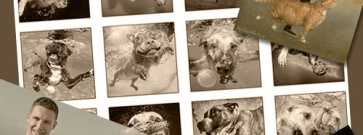 Необычные календари с картинками на 2015 год